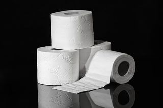 Detail Image Of Toilet Paper Nomer 8