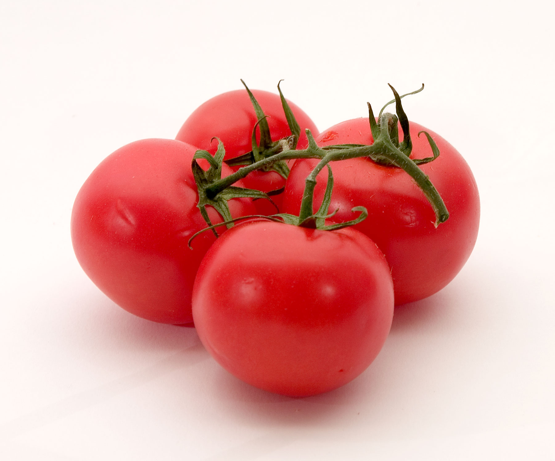 Download Image Of Tomato Nomer 2