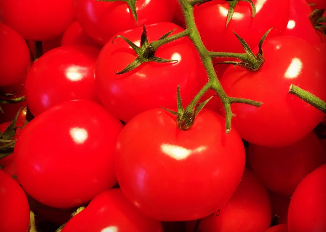 Detail Image Of Tomato Nomer 16