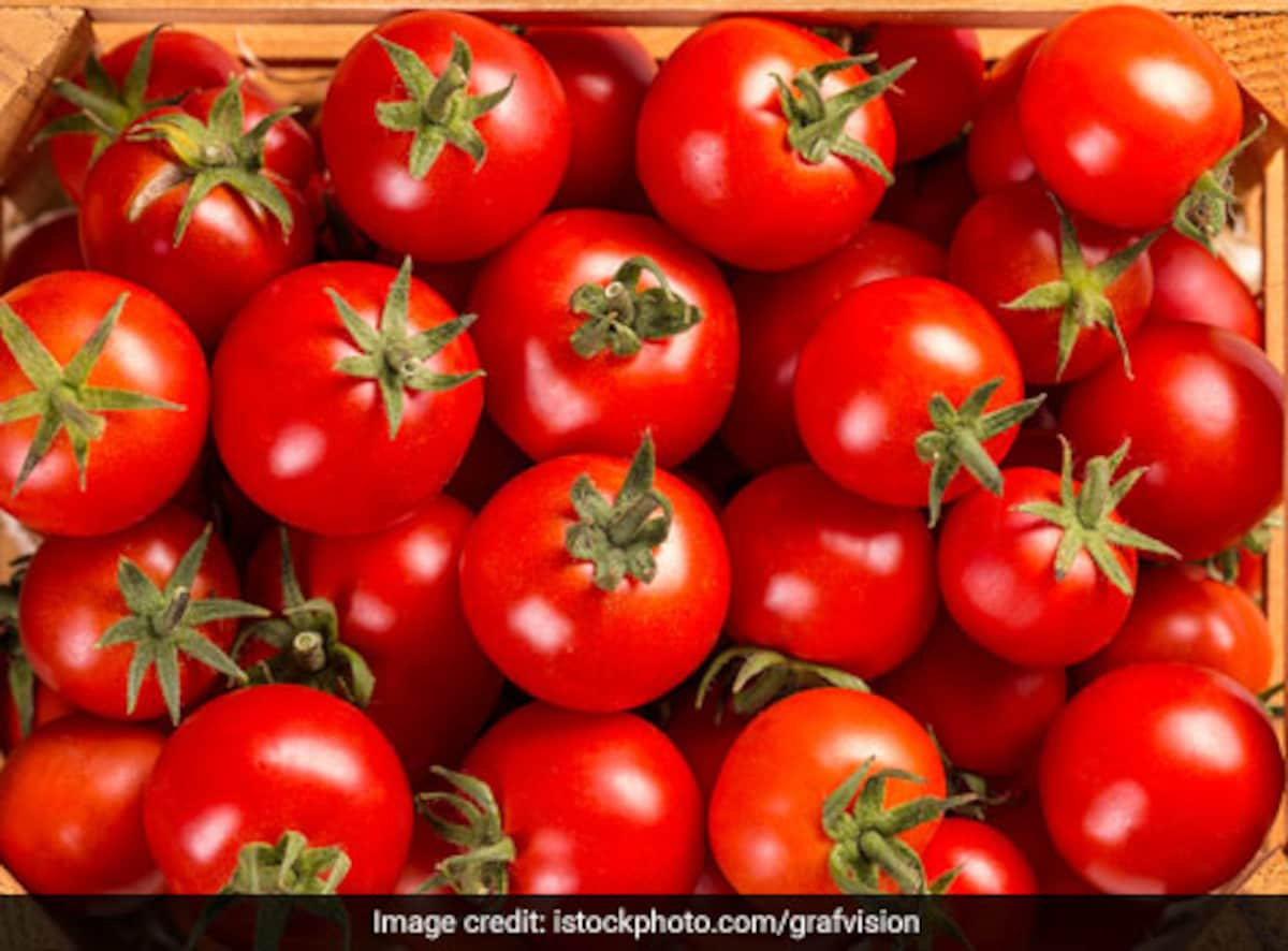 Download Image Of Tomato Nomer 40