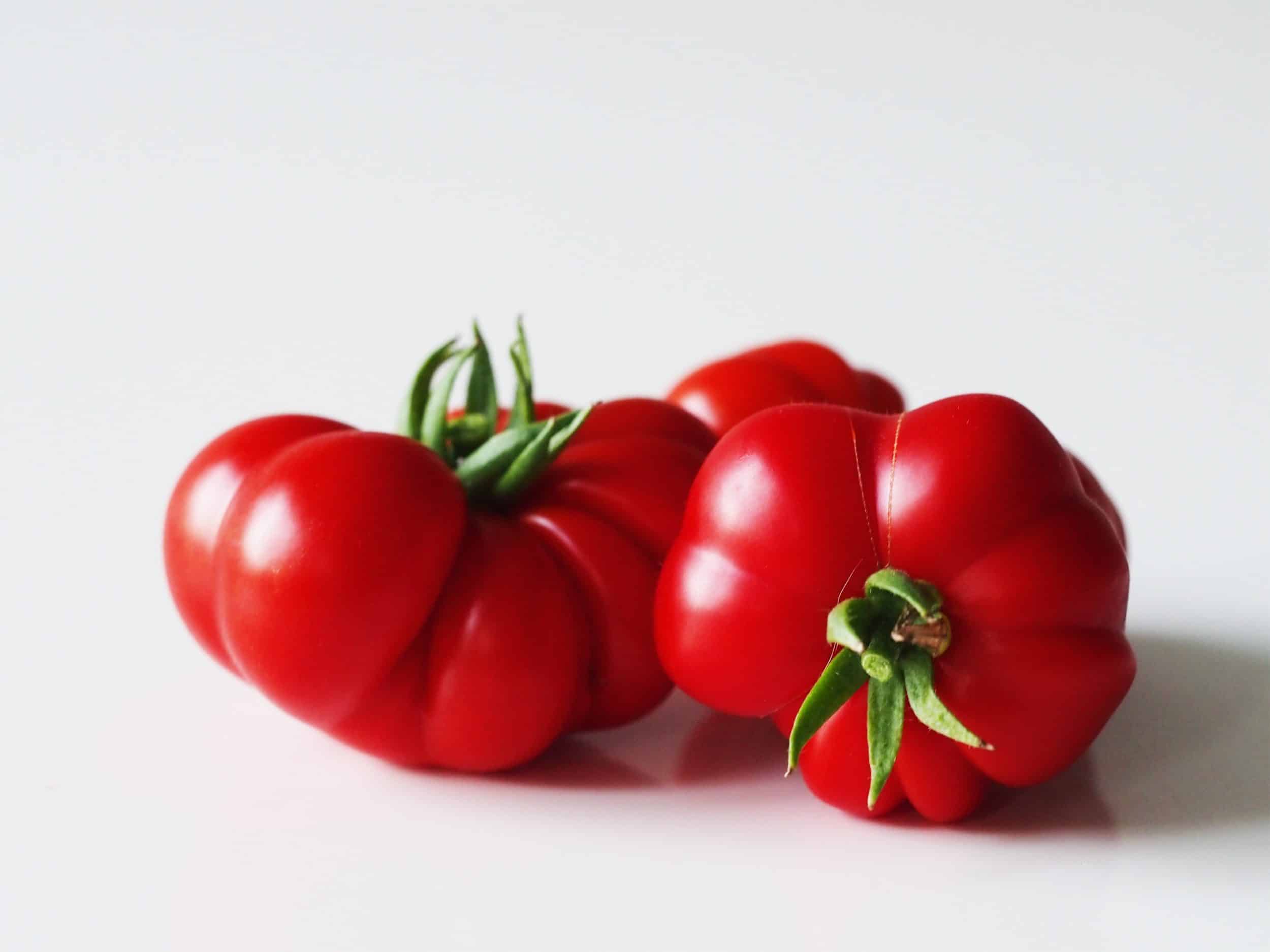 Detail Image Of Tomato Nomer 47