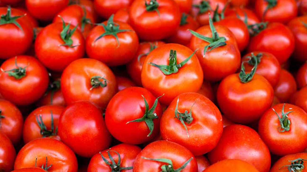 Detail Image Of Tomato Nomer 6