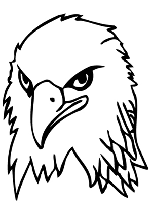 Detail Adler Zeichnen Einfach Nomer 5