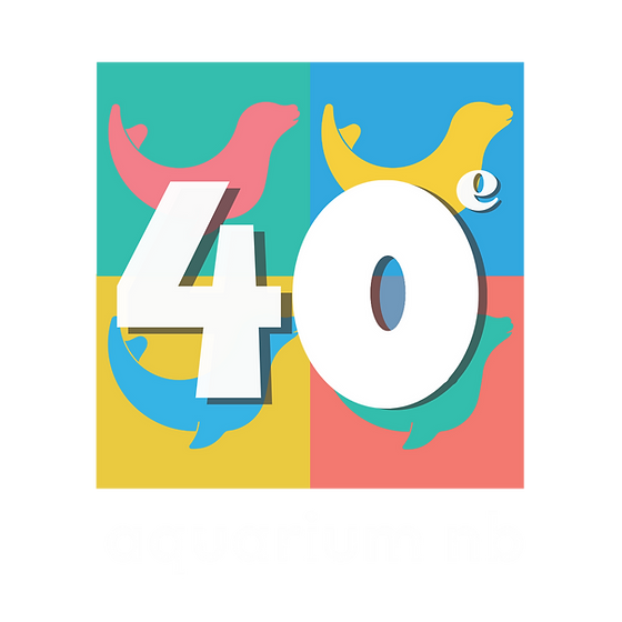 Detail Aquarium Zeichnung Nomer 18