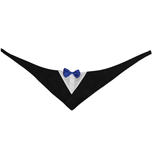 Detail Blauer Anzug Mit Fliege Nomer 24