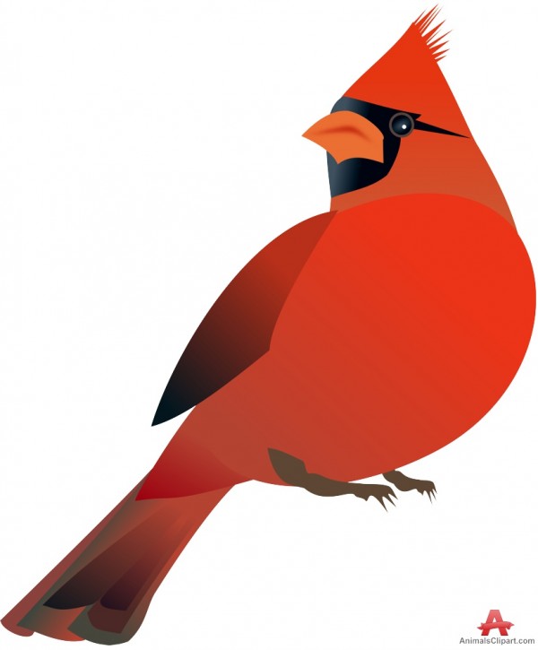 Detail Cardinal Png Nomer 7