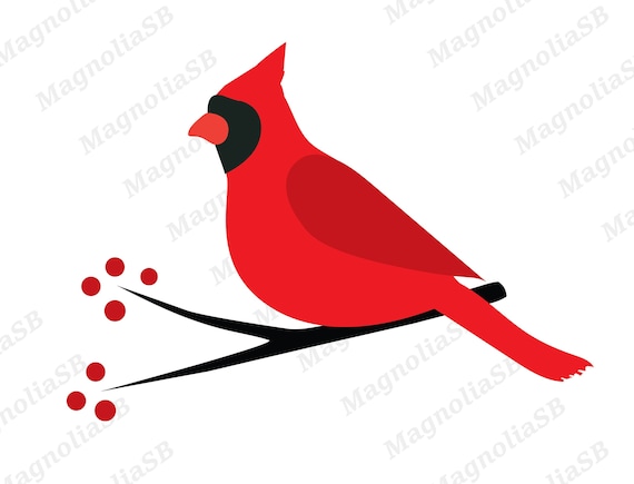 Detail Cardinal Png Nomer 11