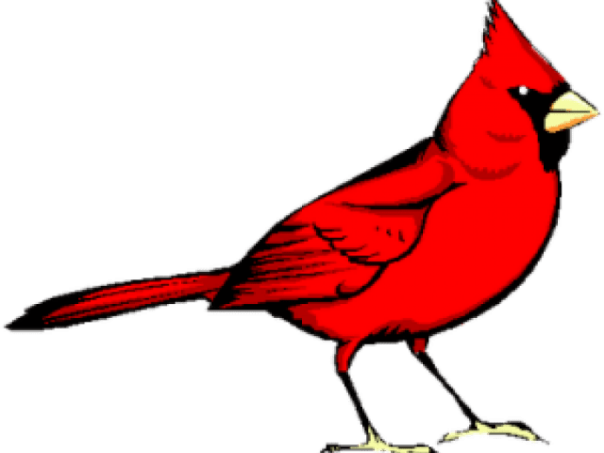 Detail Cardinal Png Nomer 4
