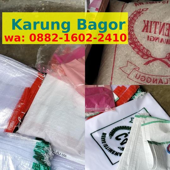 Detail Desain Karung Beras Cdr Nomer 46