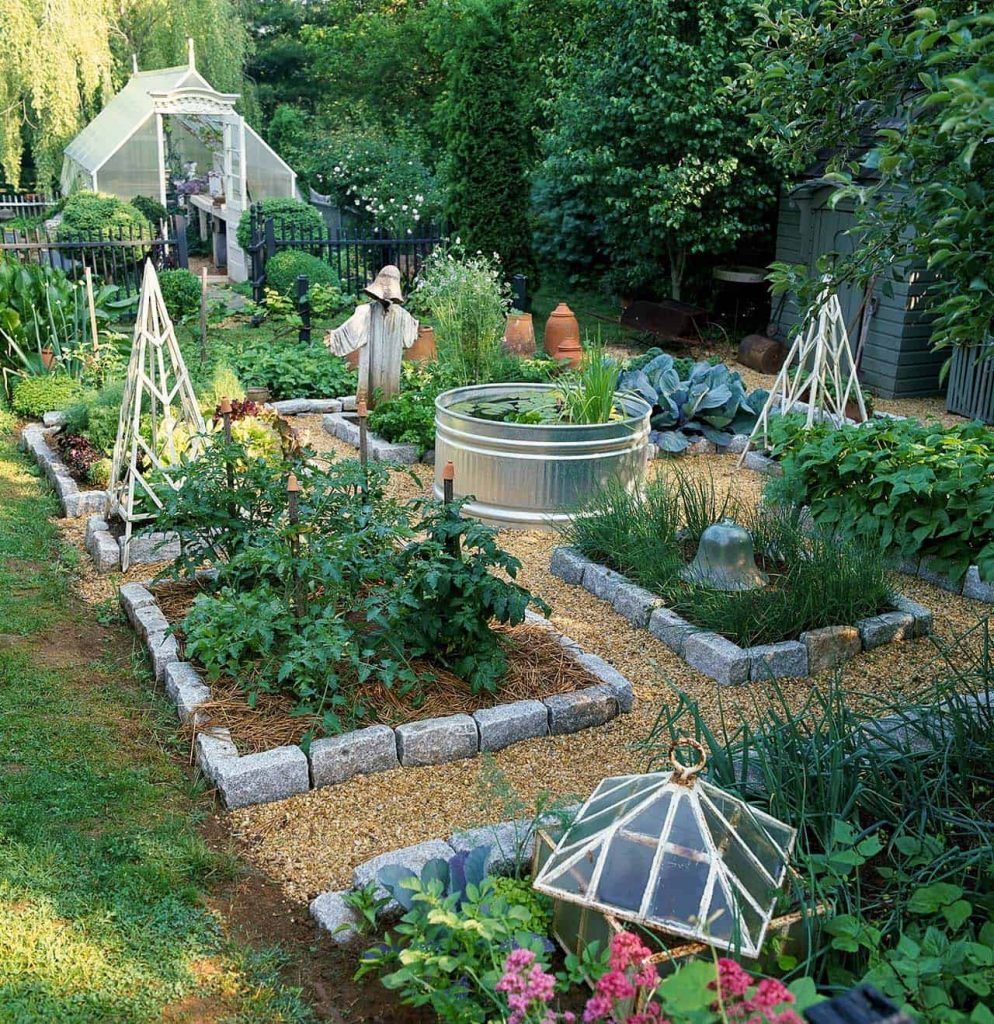 Detail Desain Kebun Sayur Nomer 2