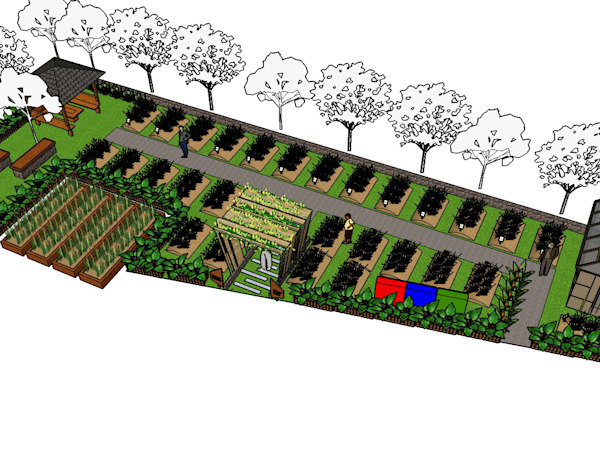 Detail Desain Kebun Sayur Nomer 11