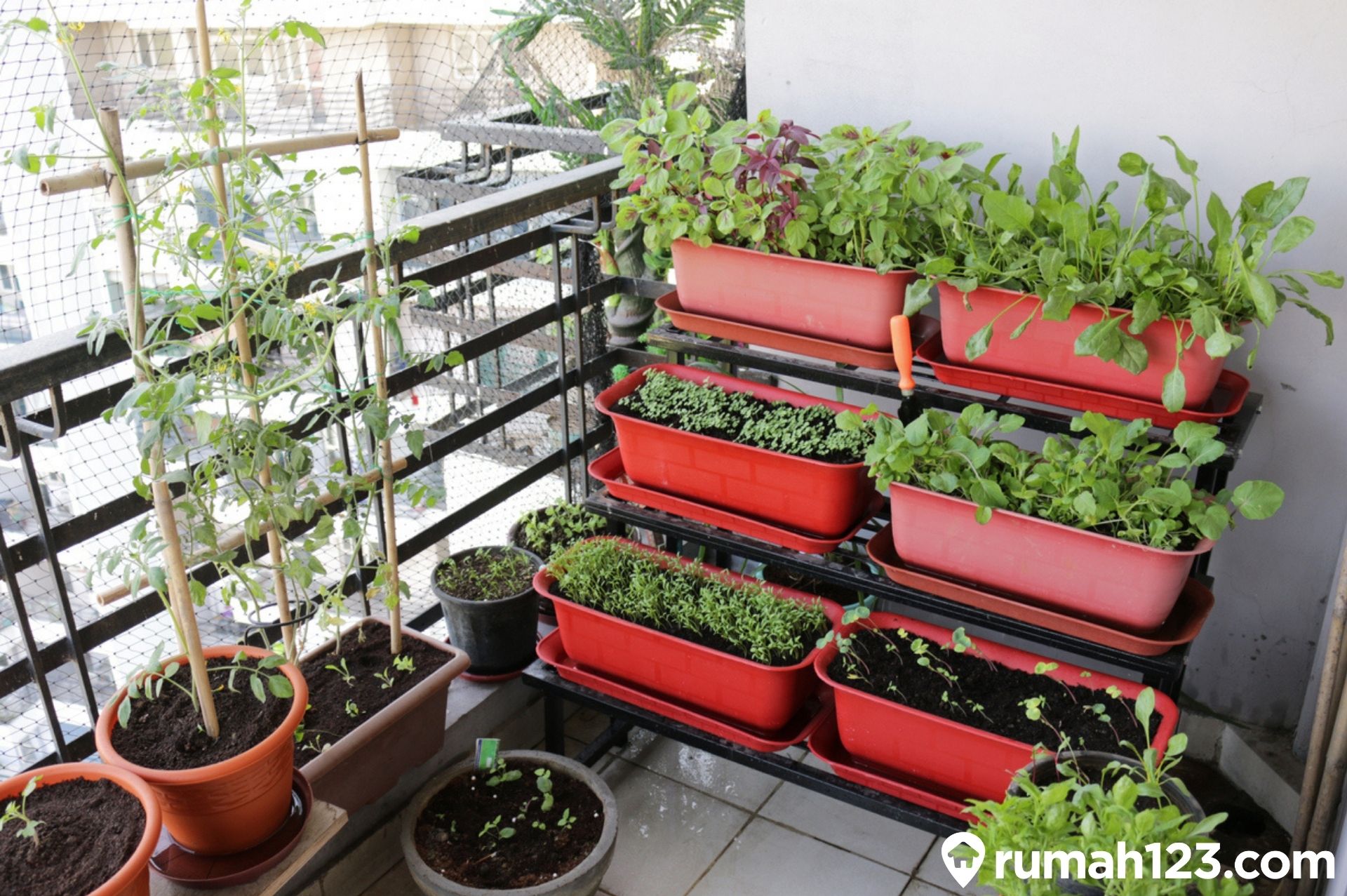 Detail Desain Kebun Sayur Nomer 18