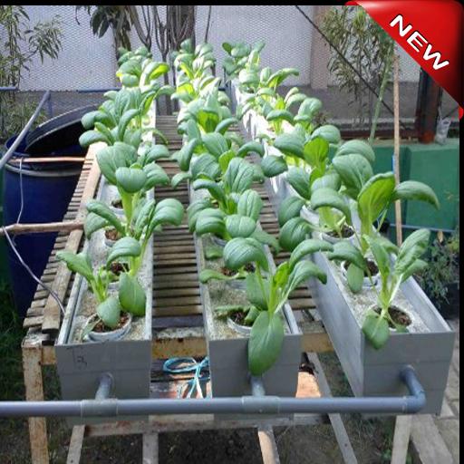 Detail Desain Kebun Sayur Nomer 33