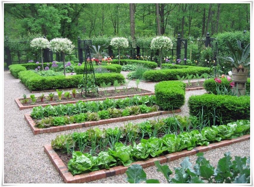 Detail Desain Kebun Sayur Nomer 37