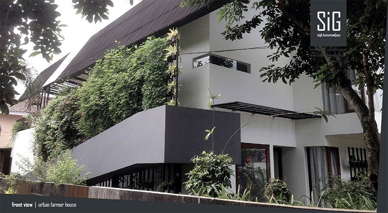 Detail Desain Kebun Sayur Nomer 49