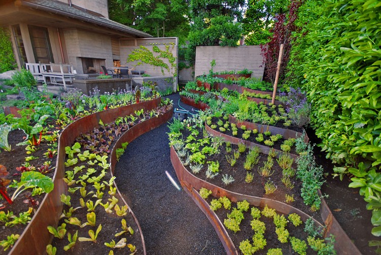 Detail Desain Kebun Sayur Nomer 10