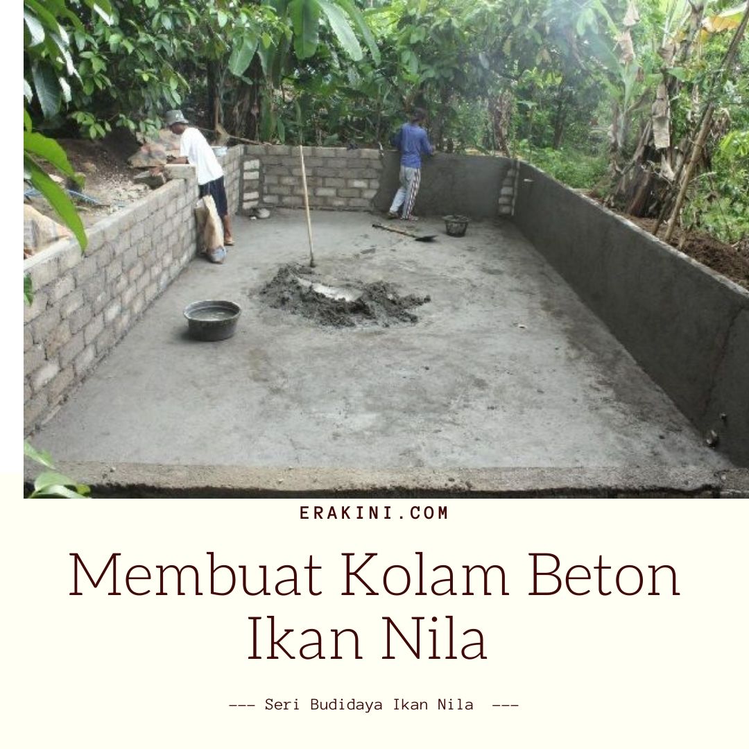 Detail Desain Kolam Lele Beton Nomer 16