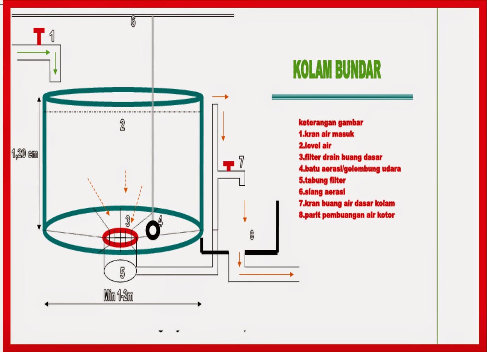 Detail Desain Kolam Lele Beton Nomer 32