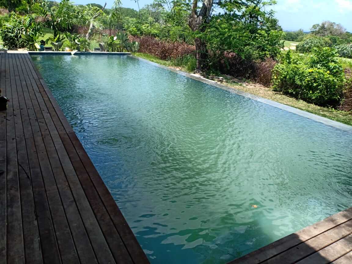 Detail Desain Kolam Renang Umum Sederhana Nomer 3