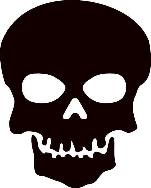 Detail Skull Bilder Nomer 9