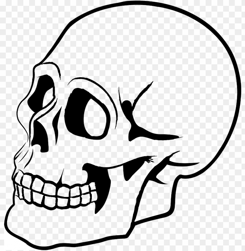 Detail Skull Bilder Nomer 3