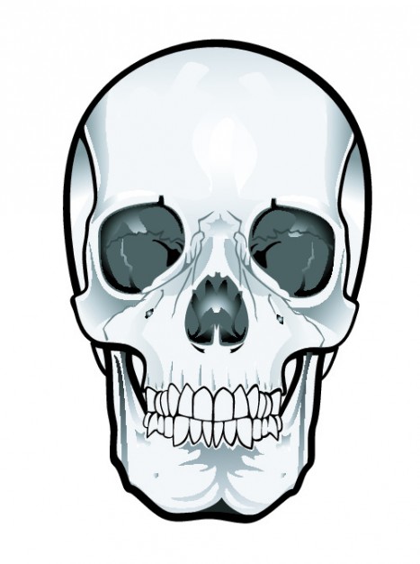 Detail Skull Bilder Nomer 7