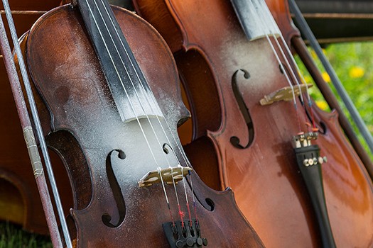 Detail Image Of Violin Nomer 32