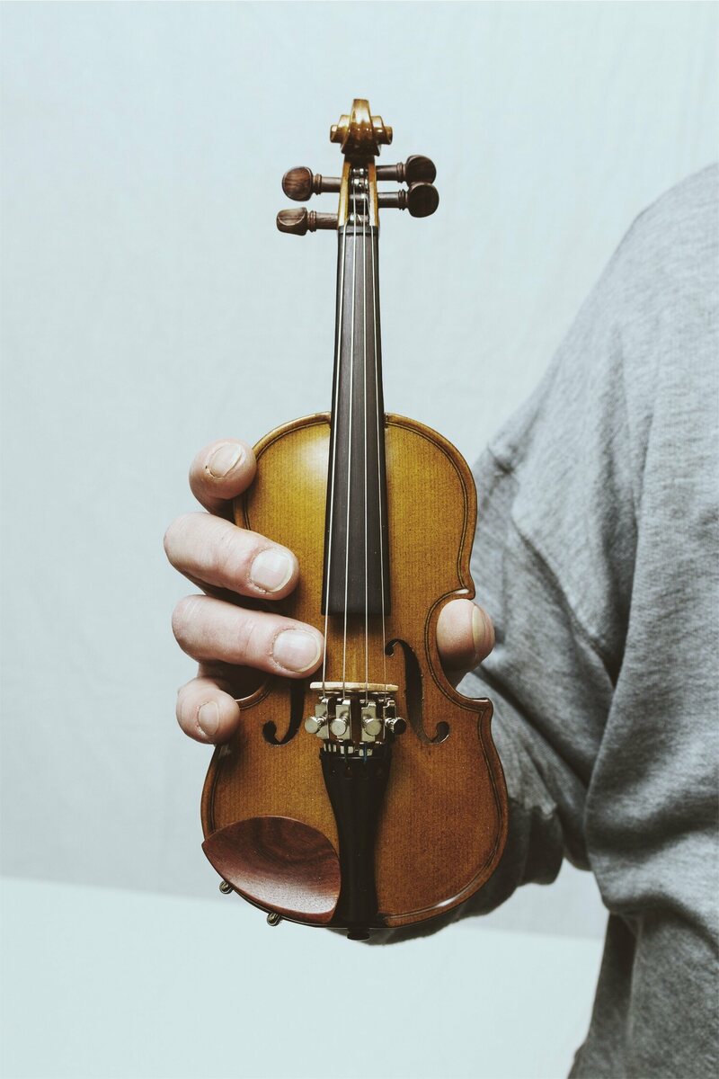 Detail Image Of Violin Nomer 47