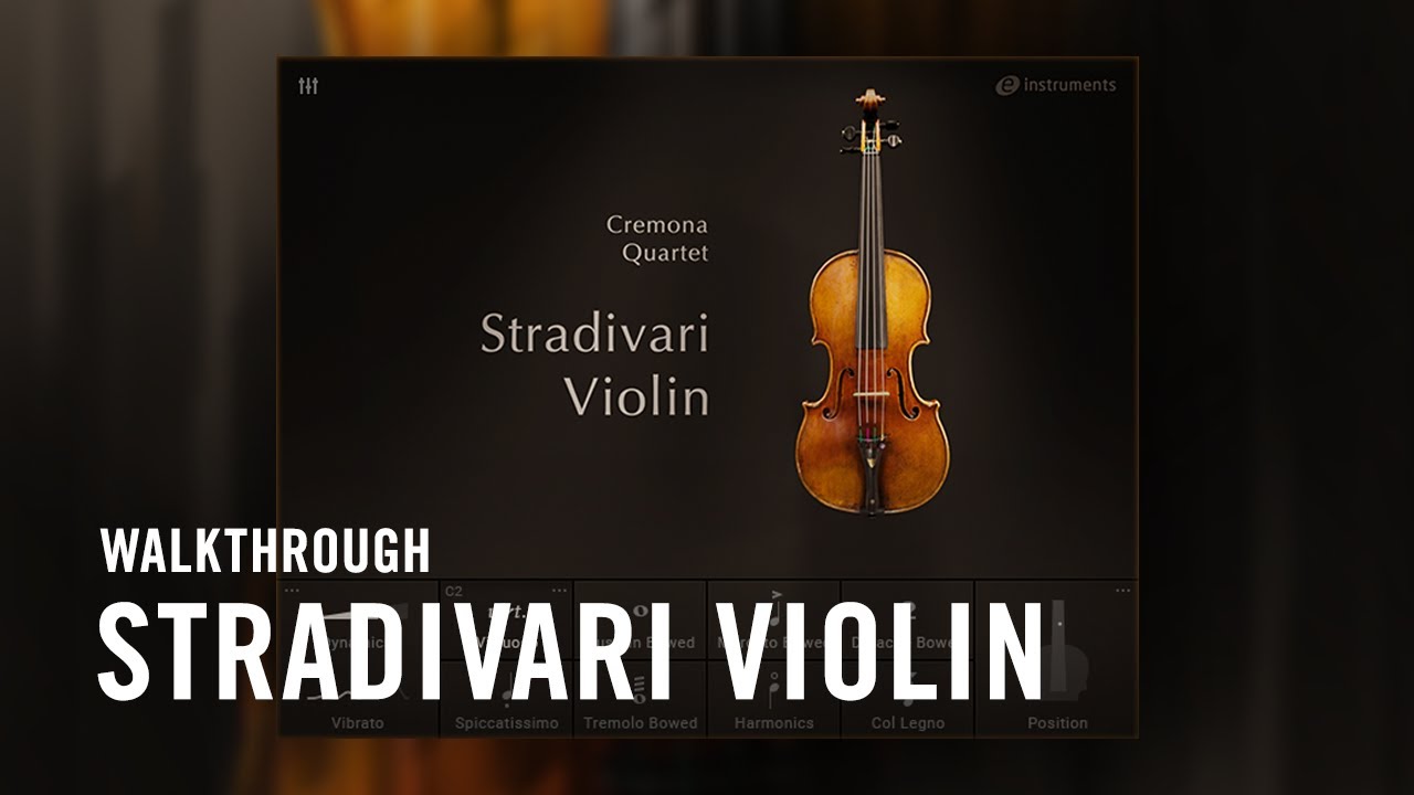 Detail Image Of Violin Nomer 52