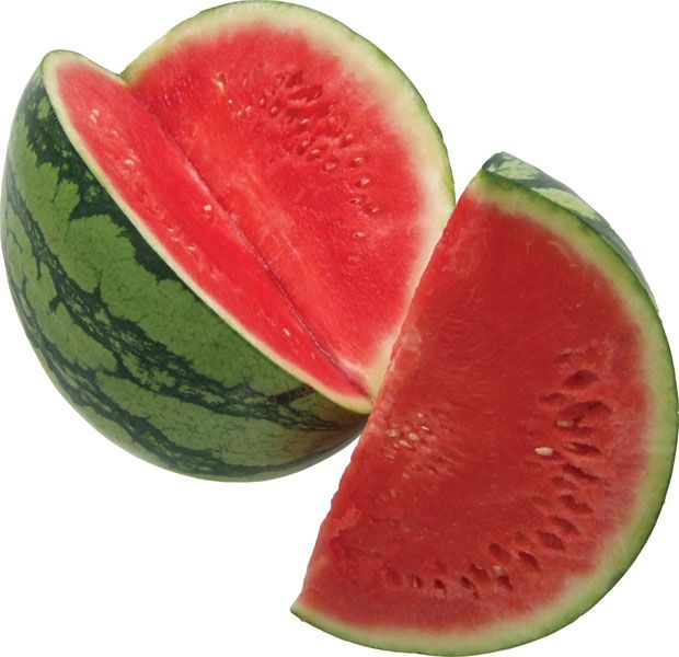 Detail Image Of Watermelon Nomer 10