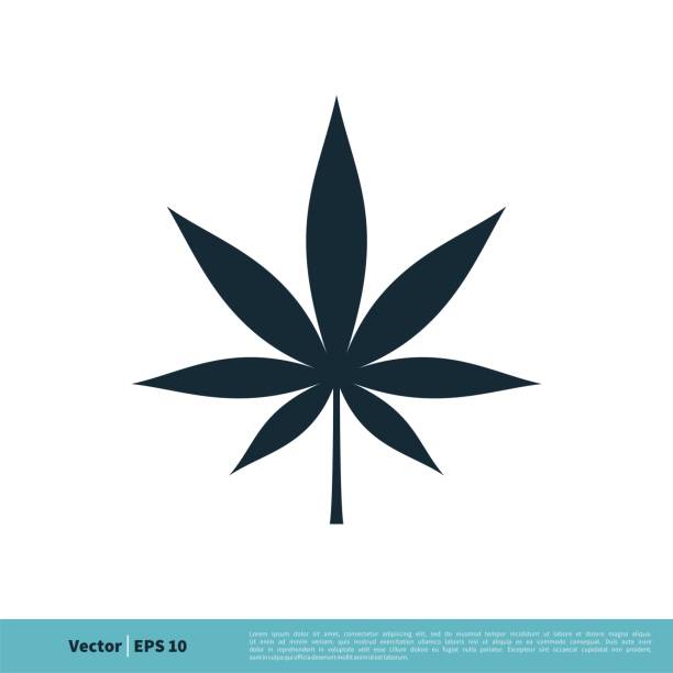 Detail Image Of Weed Leaf Nomer 37