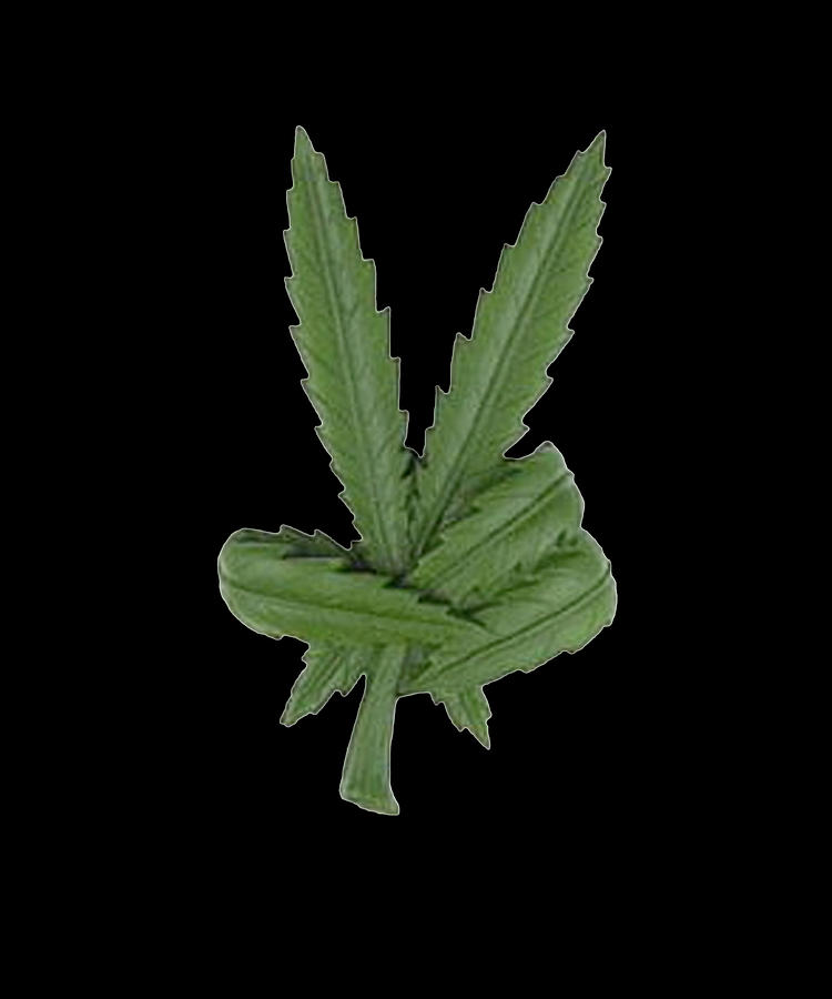 Detail Image Of Weed Leaf Nomer 8