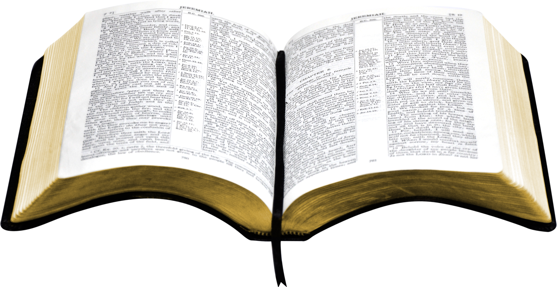 Detail Image Open Bible Nomer 9