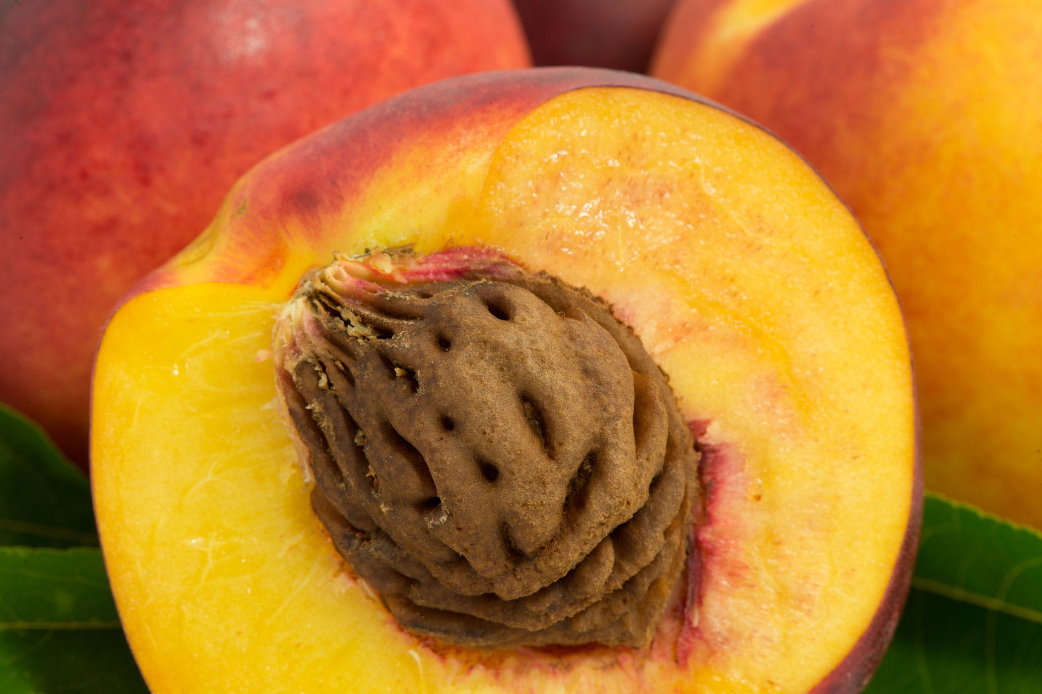Detail Image Peach Nomer 46