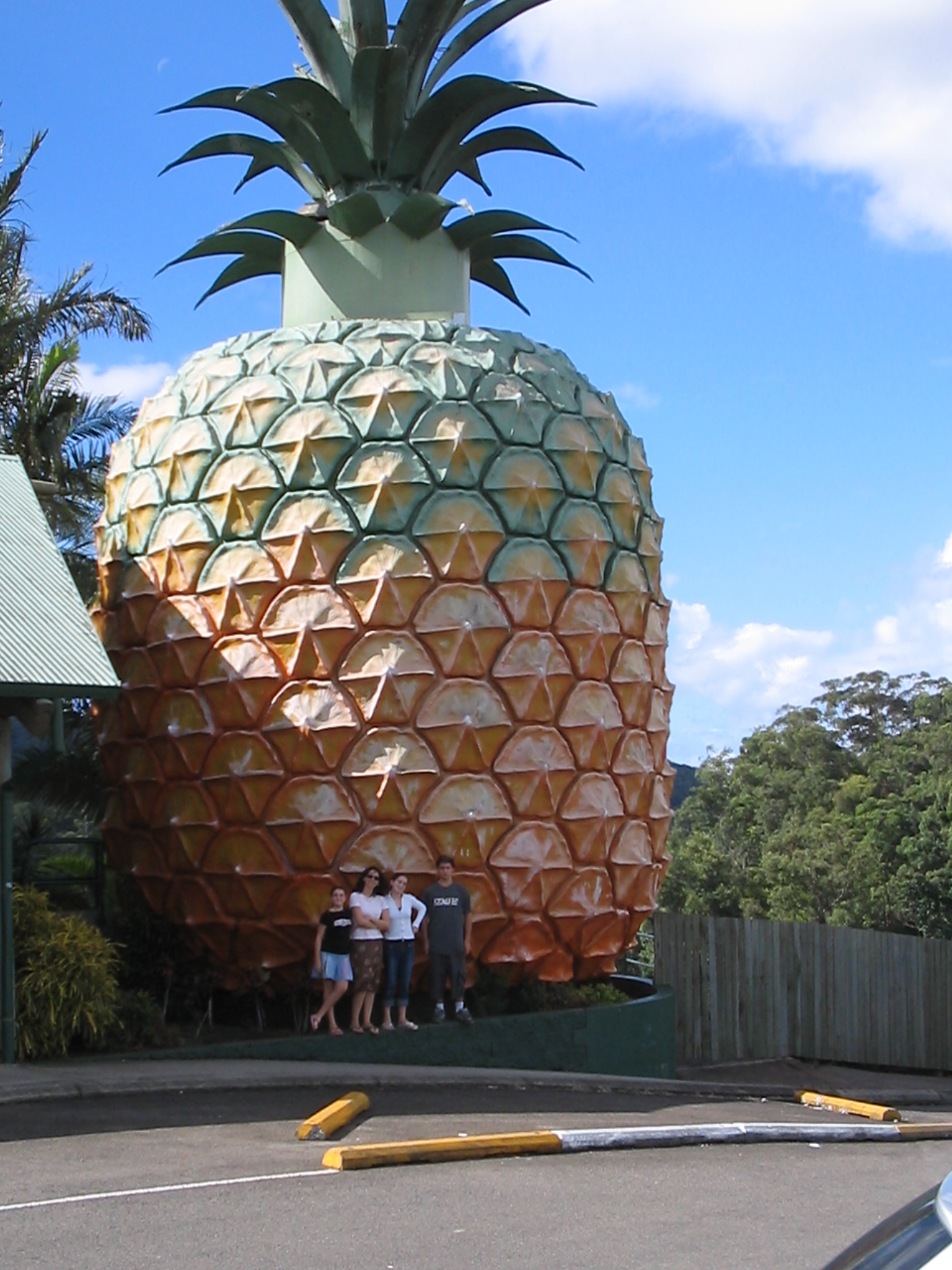 Detail Image Pineapple Nomer 44