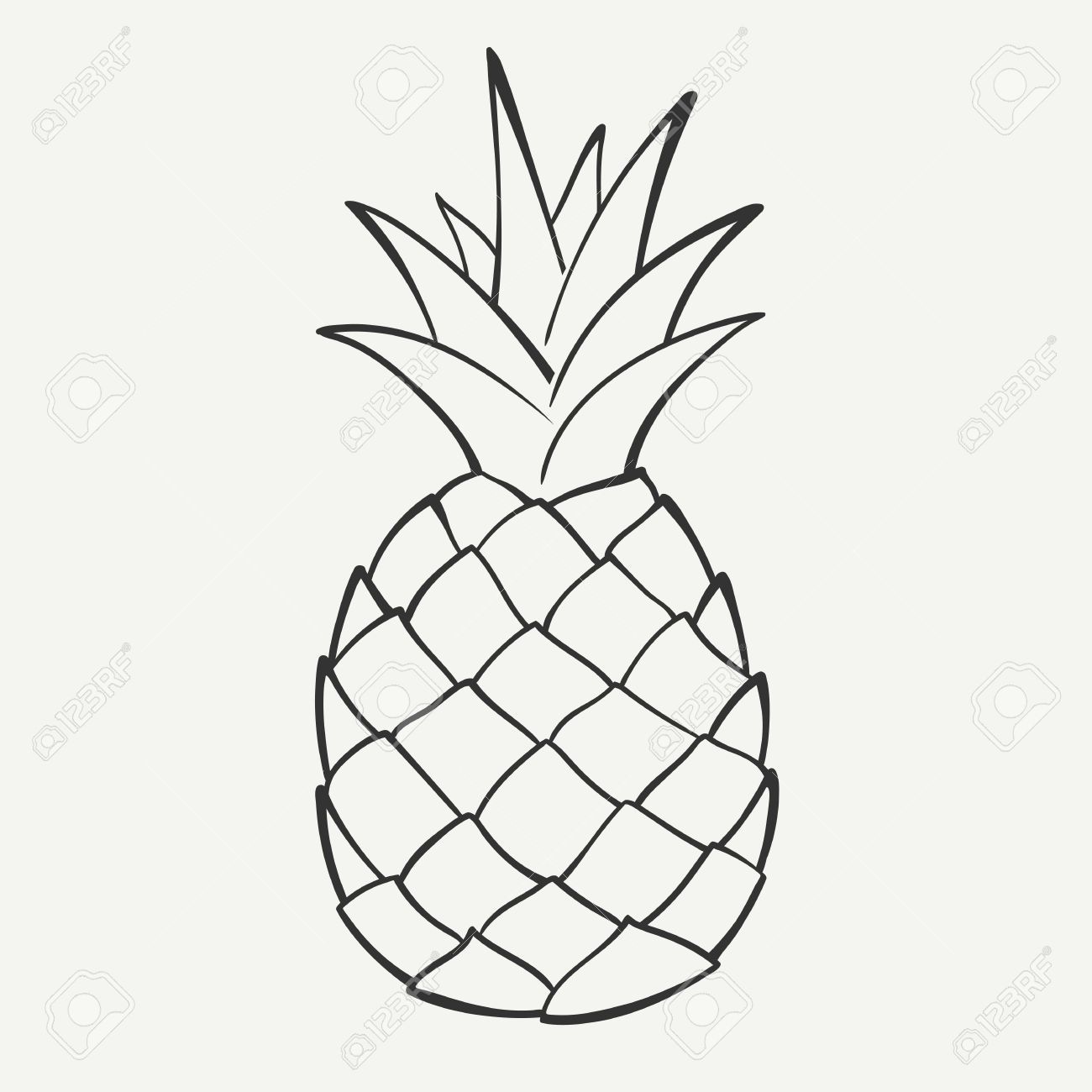 Detail Image Pineapple Nomer 46