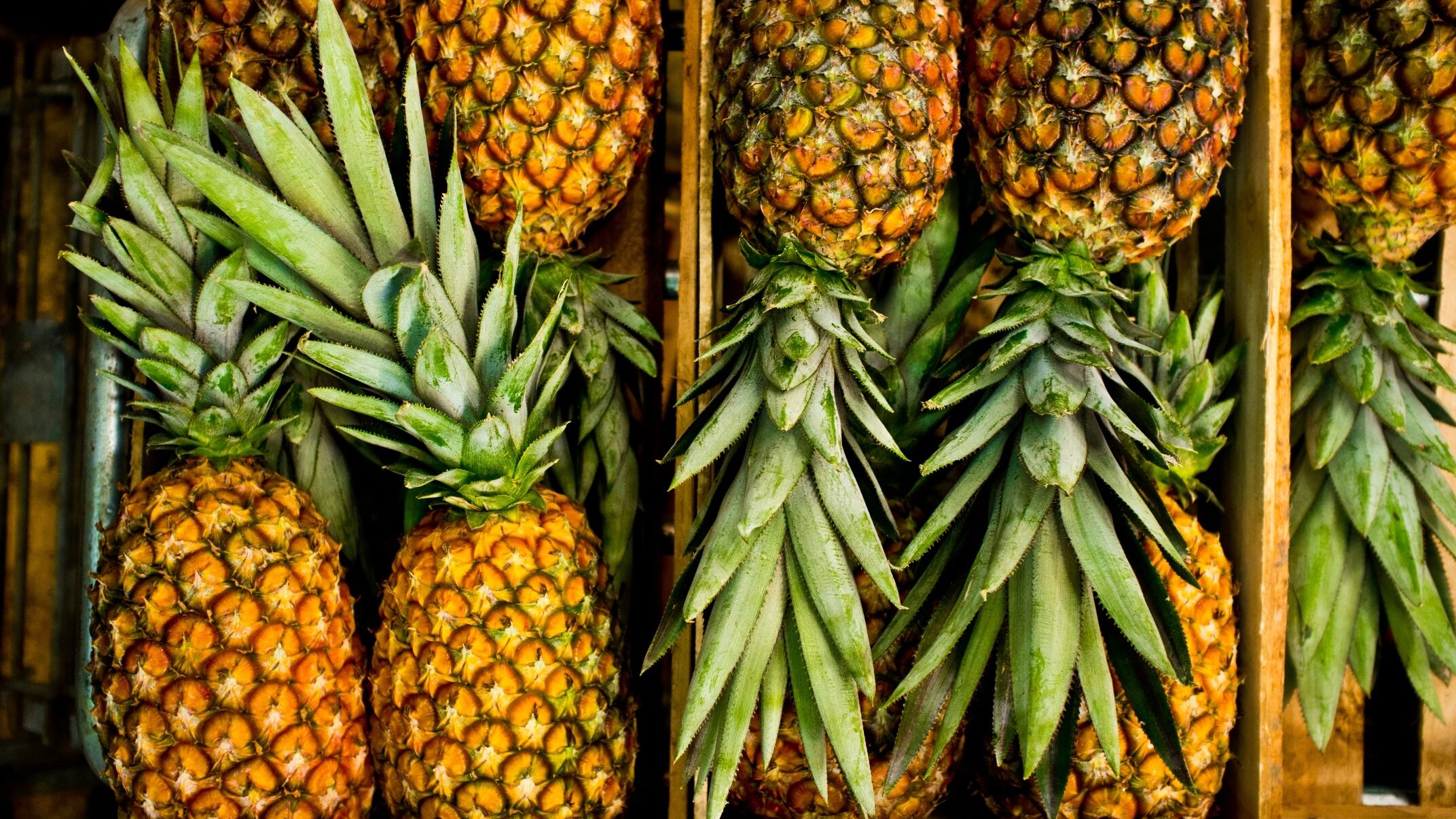 Detail Image Pineapple Nomer 49