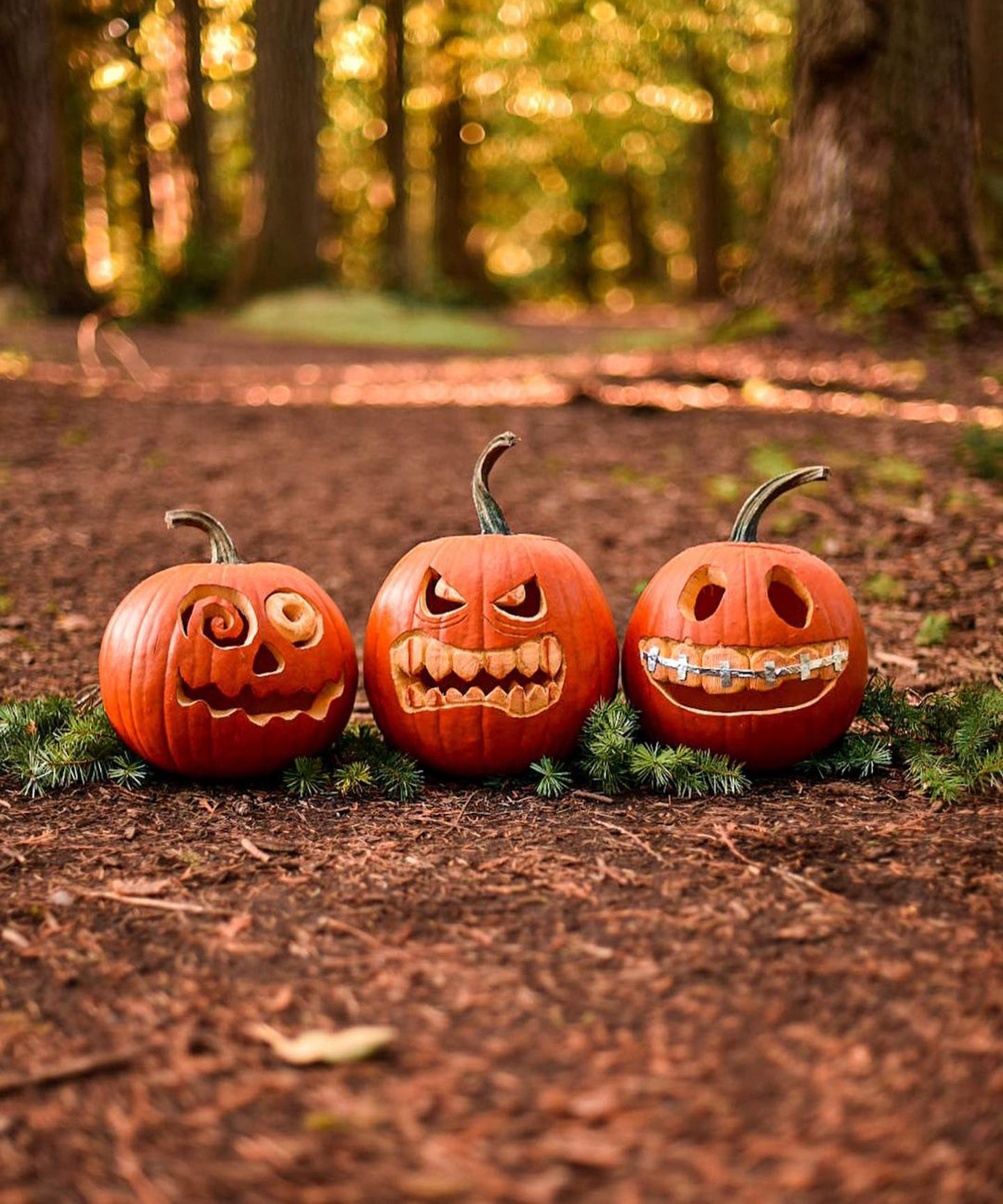 Detail Image Pumpkin Nomer 40