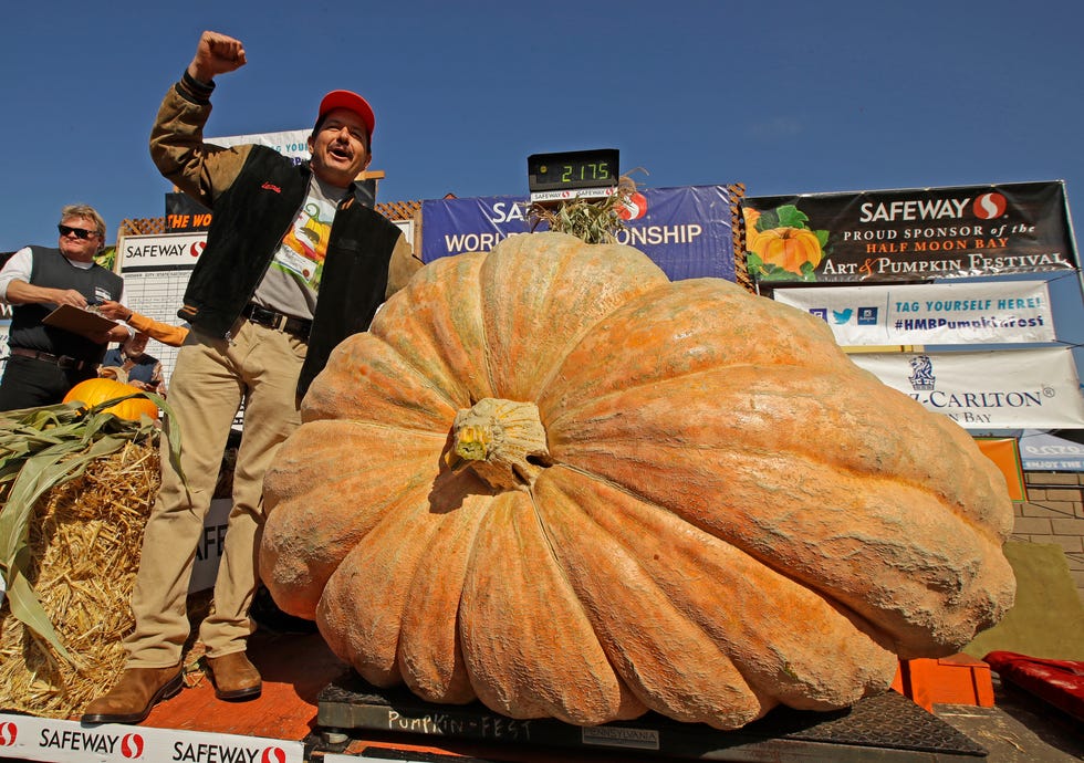 Detail Image Pumpkin Nomer 45
