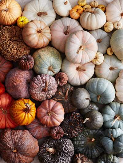 Detail Image Pumpkin Nomer 47
