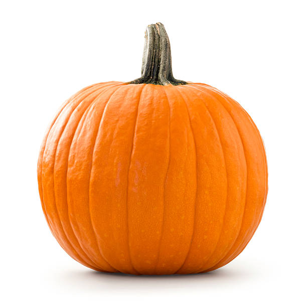 Detail Image Pumpkin Nomer 6