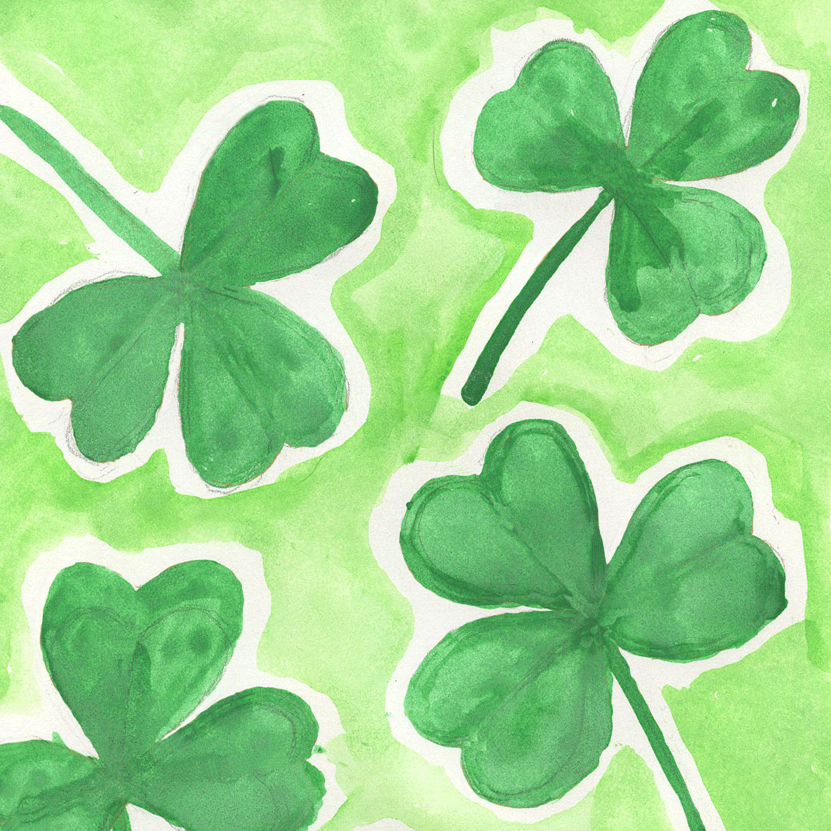 Detail Image Shamrock Nomer 44