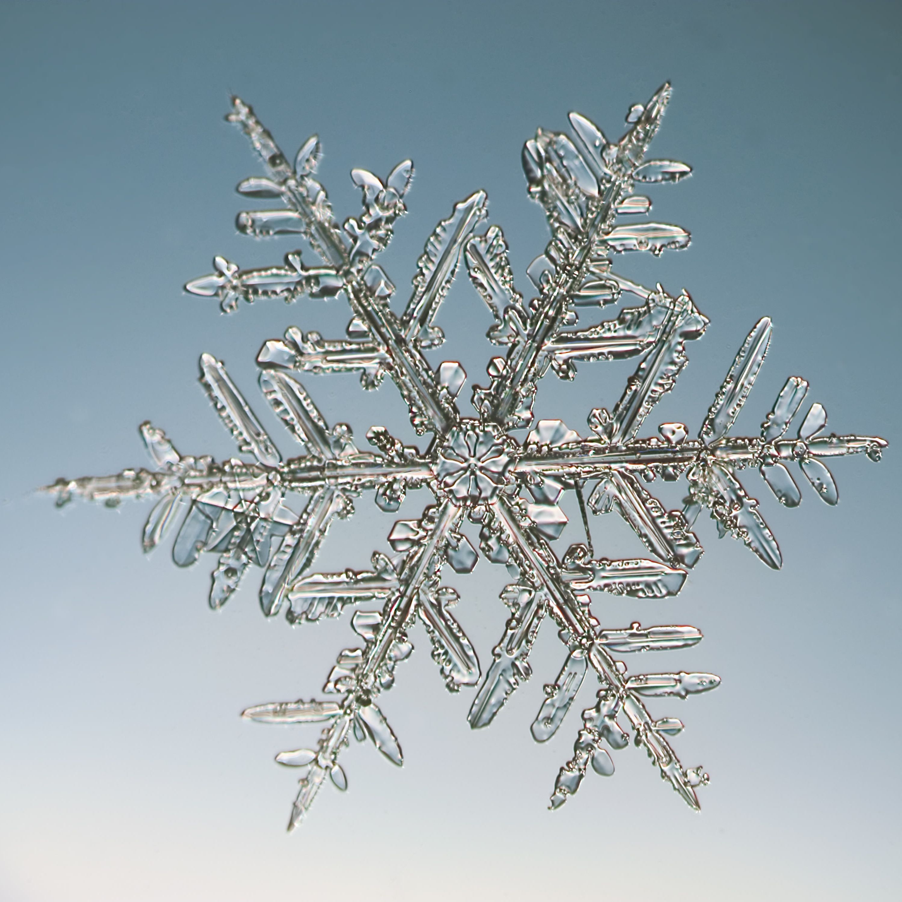 Detail Image Snowflake Nomer 12
