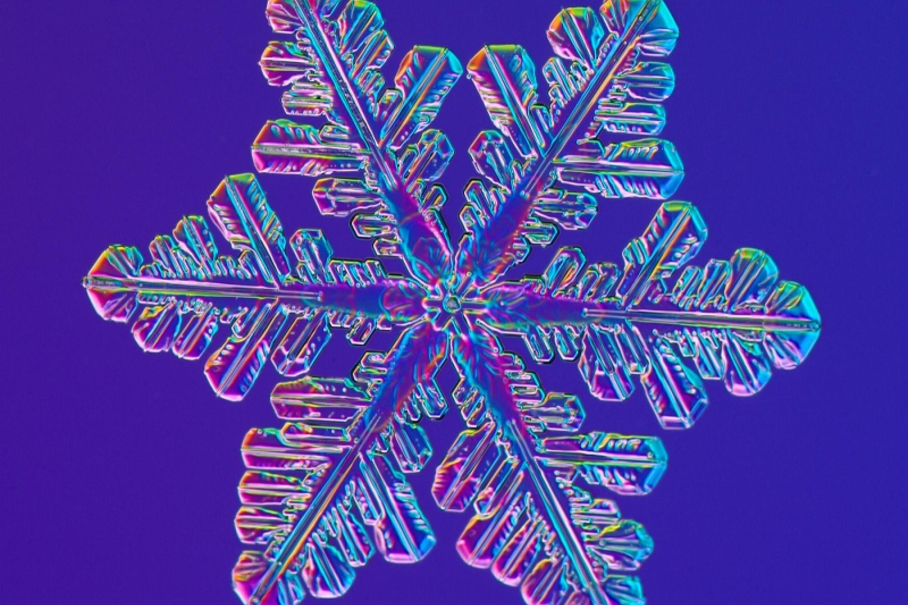 Detail Image Snowflake Nomer 29