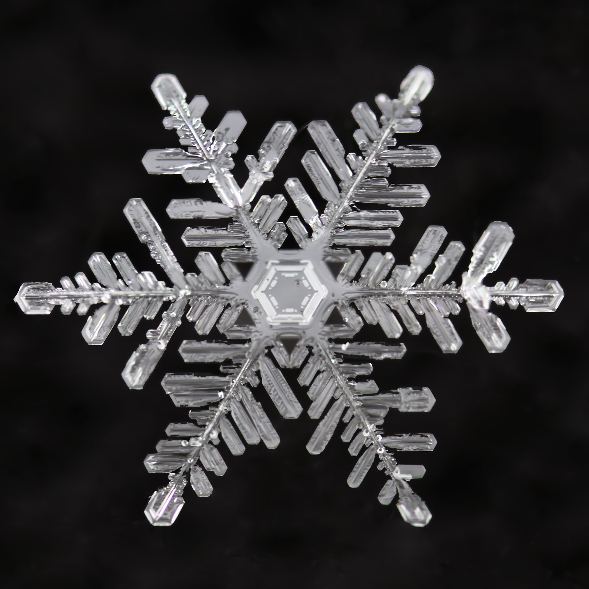 Detail Image Snowflake Nomer 39