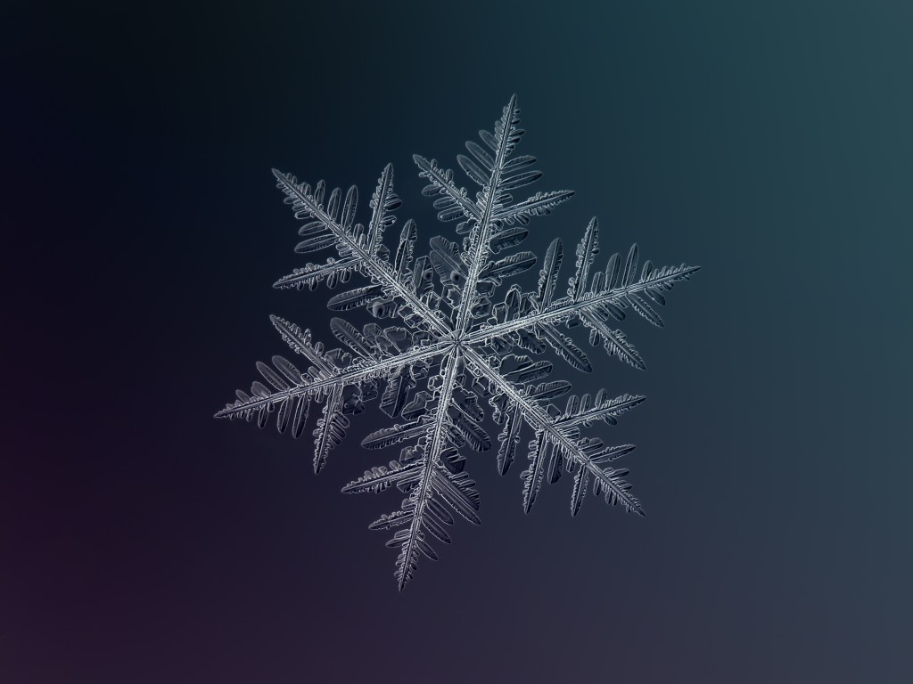 Detail Image Snowflake Nomer 41