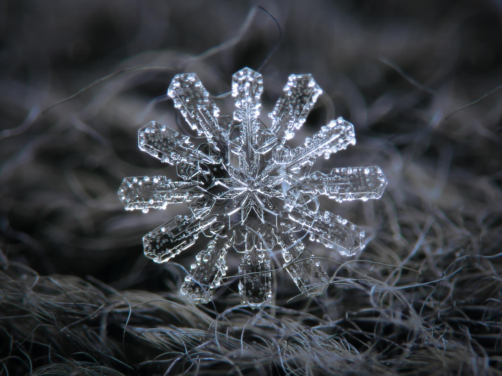 Detail Image Snowflake Nomer 7