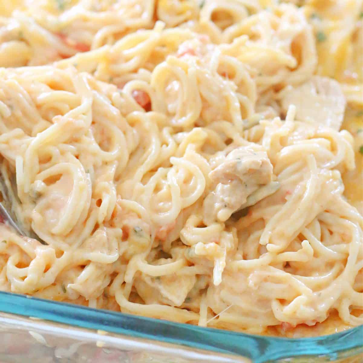 Detail Image Spaghetti Nomer 25