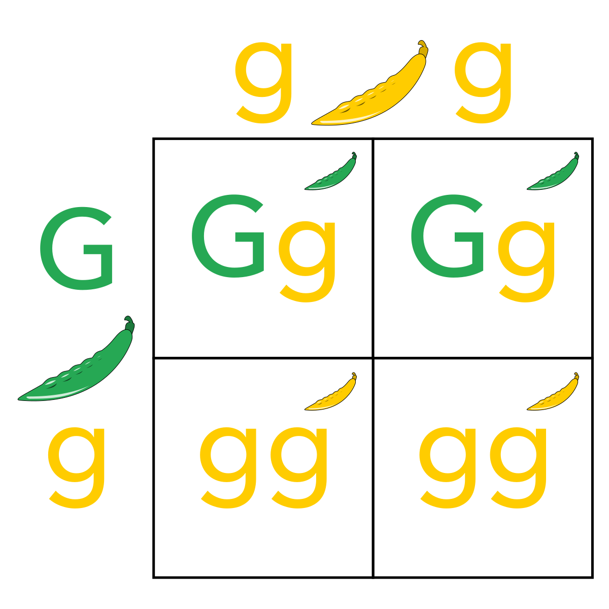 Detail Image Square Nomer 53