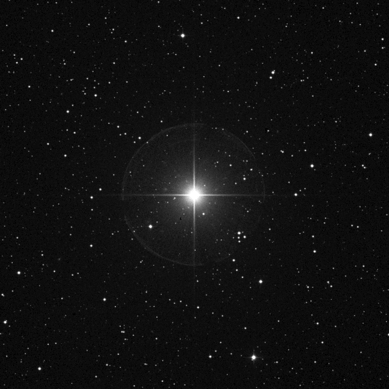 Detail Image Star Nomer 21